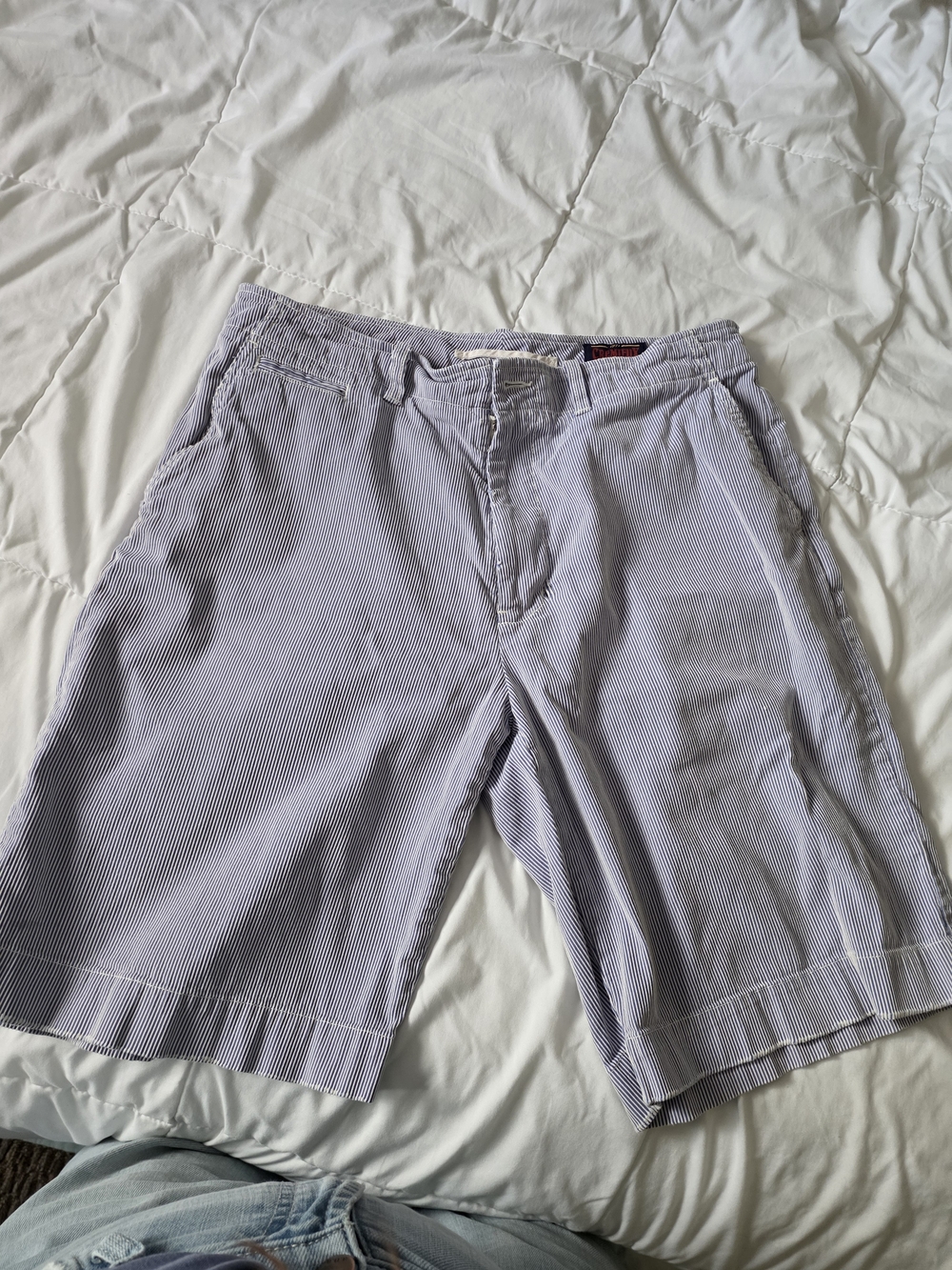 Daniel Cremieux Light Blue Pinstripe Flat Front Men’s Shorts